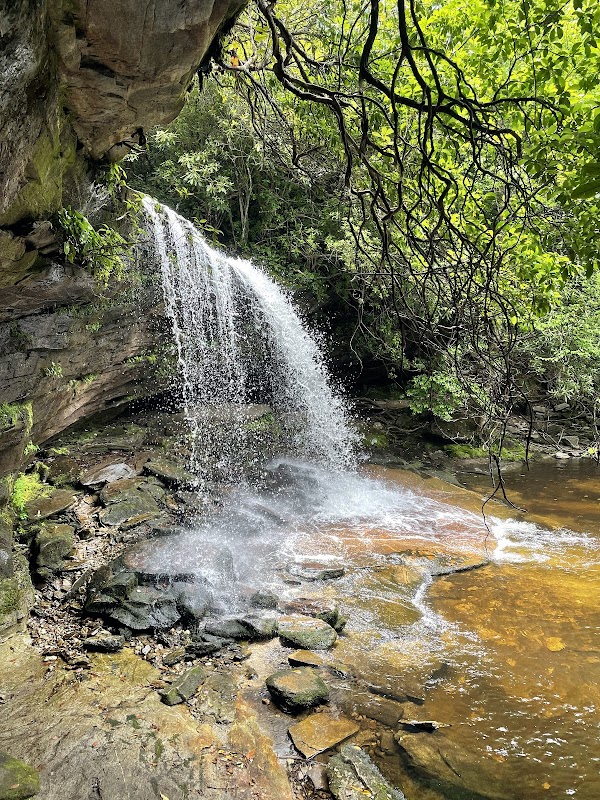 Hiking Panthertown Trailhead near Lake Toxaway, NC - Panthertown Trailhead