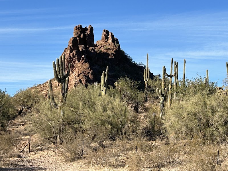 Adventure and Scenic Beauty at Box Canyon, Arizona - Box Canyon
