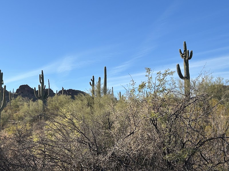 Adventure and Scenic Beauty at Box Canyon, Arizona surrounding landscape