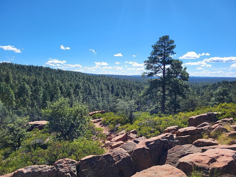 Scenic Hiking at Mogollon Rim Trail near Lakeside, Arizona - Mogollon Rim Trail