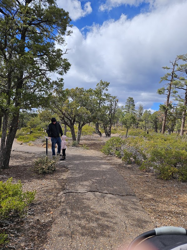 Scenic Hiking at Mogollon Rim Trail near Lakeside, Arizona - Mogollon Rim Trail