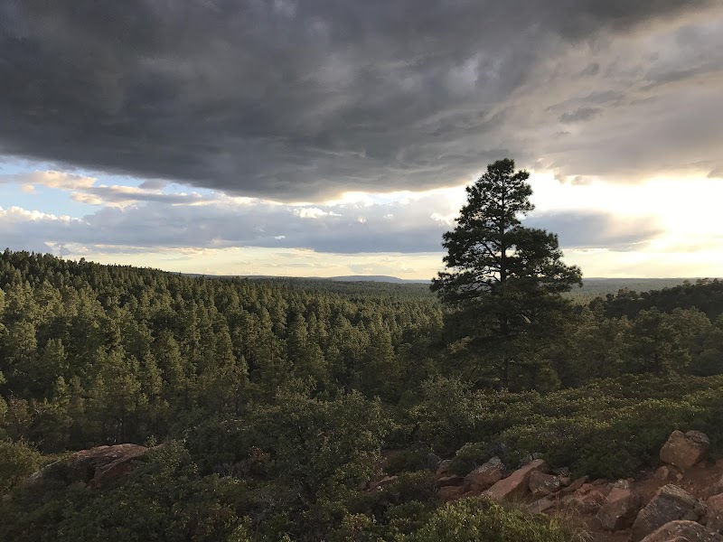 Scenic Hiking at Mogollon Rim Trail near Lakeside, Arizona surrounding landscape