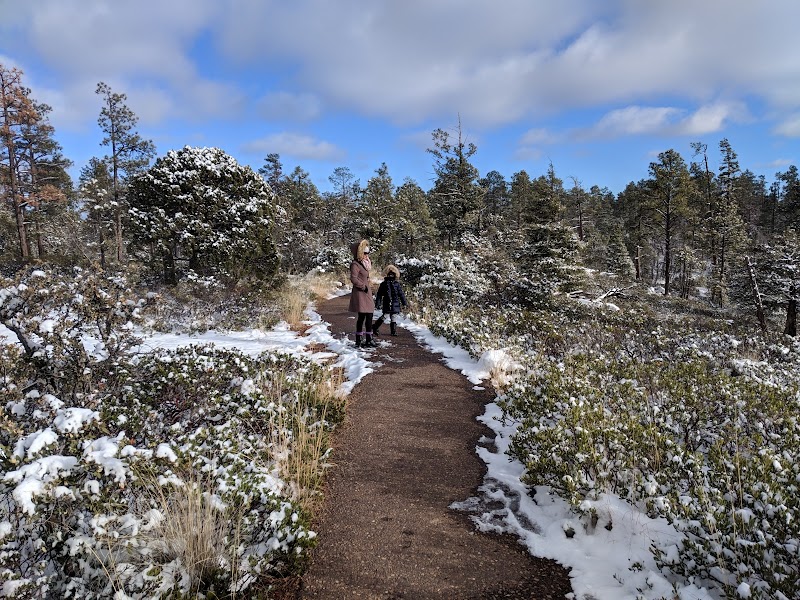 Scenic Hiking at Mogollon Rim Trail near Lakeside, Arizona outdoor detail