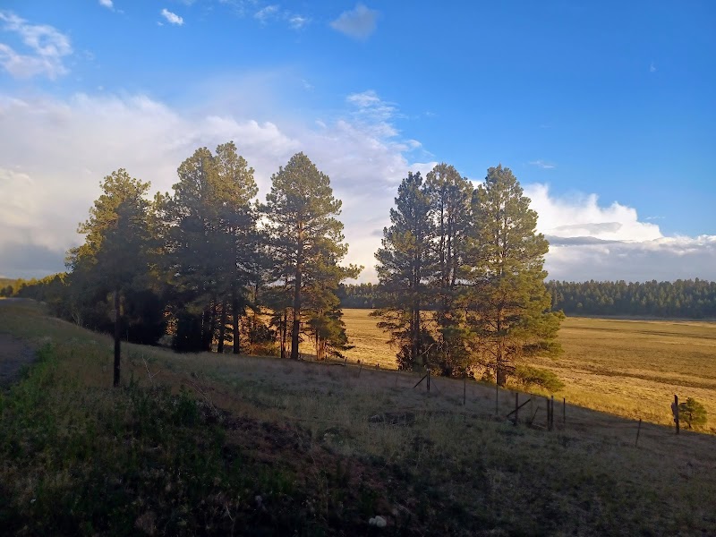 Stunning Vistas at Mogollon Rim, Arizona surrounding landscape