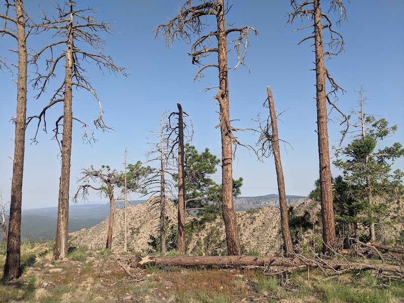 Stunning Vistas at Mogollon Rim, Arizona - Mogollon Rim