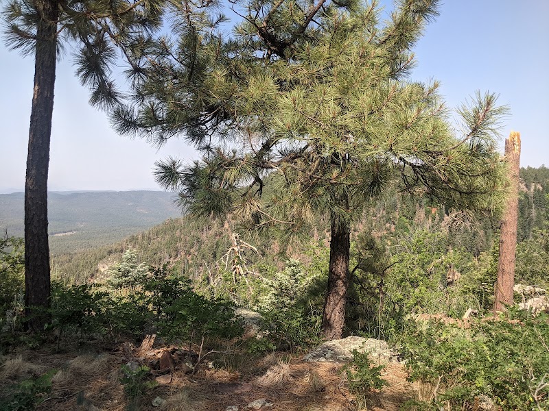 Stunning Vistas at Mogollon Rim, Arizona - Mogollon Rim