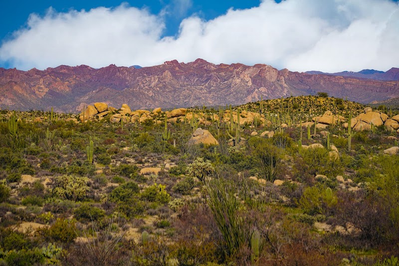 Natural Rock Formations of The Boulders near Florence, Arizona - The Boulders