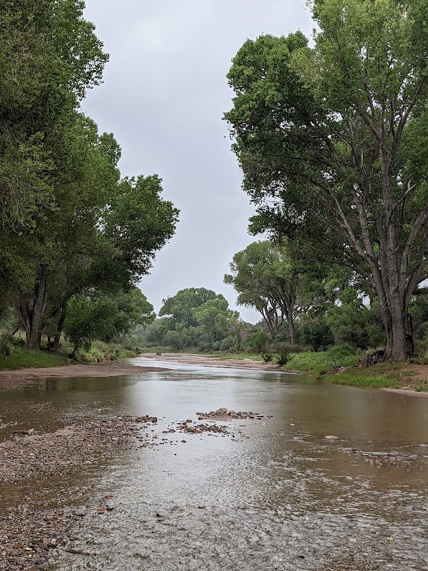 Riverside Nature at San Pedro and Babocomari Junction - San Pedro River and Babocomari River Junction