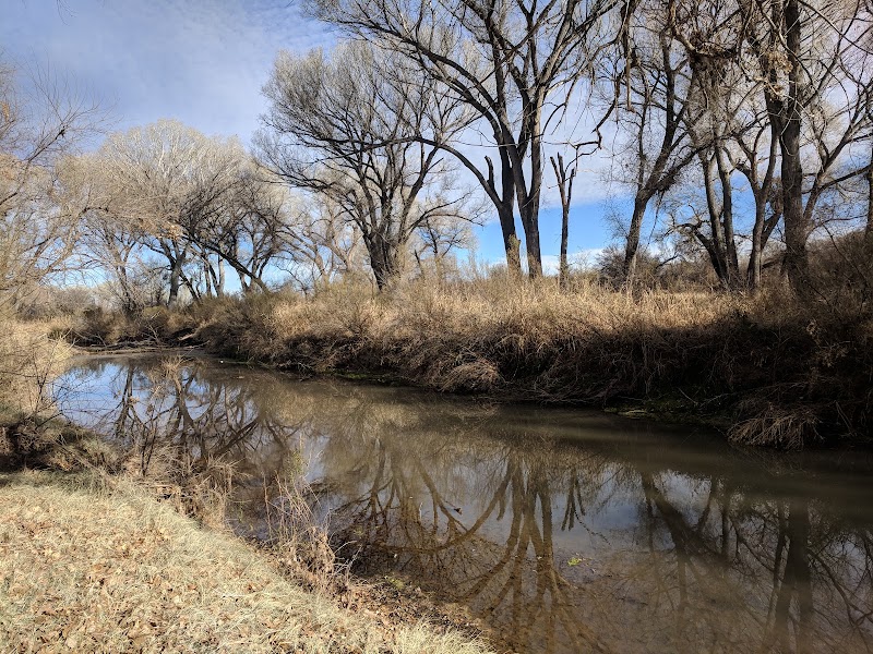 Riverside Serenity at San Pedro River, Arizona - San Pedro River