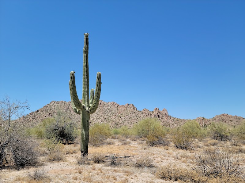 Hiking and Natural Beauty at Casa Grande Mountains, Arizona surrounding landscape