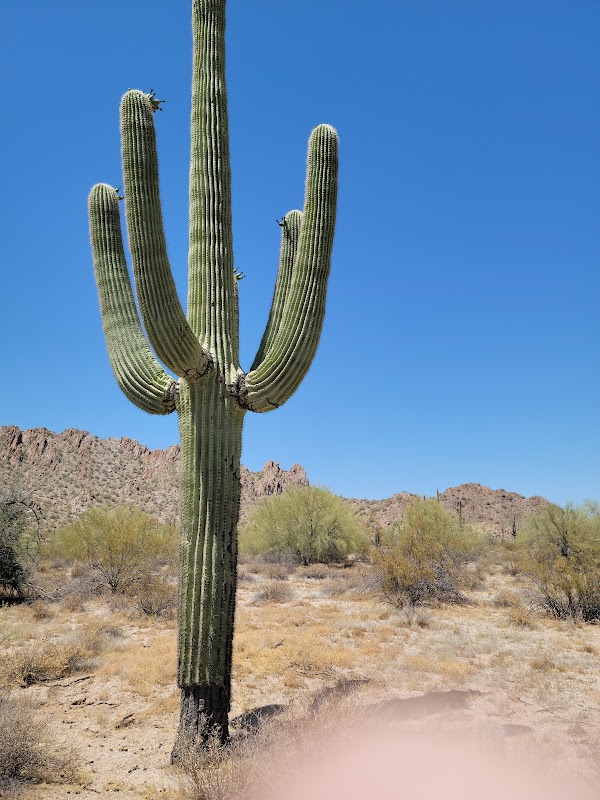 Hiking and Natural Beauty at Casa Grande Mountains, Arizona - Casa Grande Mountains