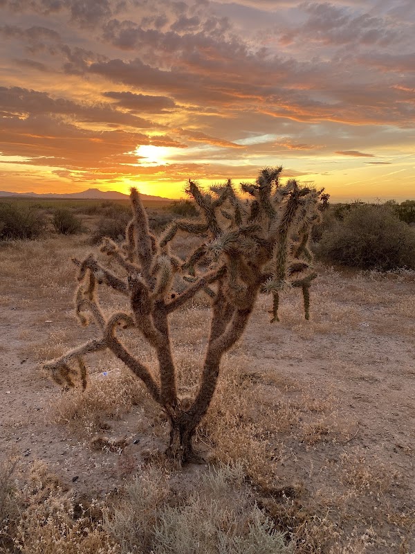 Hiking and Natural Beauty at Casa Grande Mountains, Arizona outdoor detail