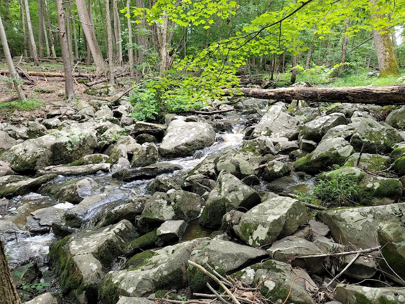 Unique Geological Wonders at Ringing Rocks County Park, PA surrounding landscape