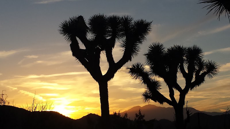 Hiking Adventure at Hi-View Trailhead near Yucca Valley, CA surrounding landscape