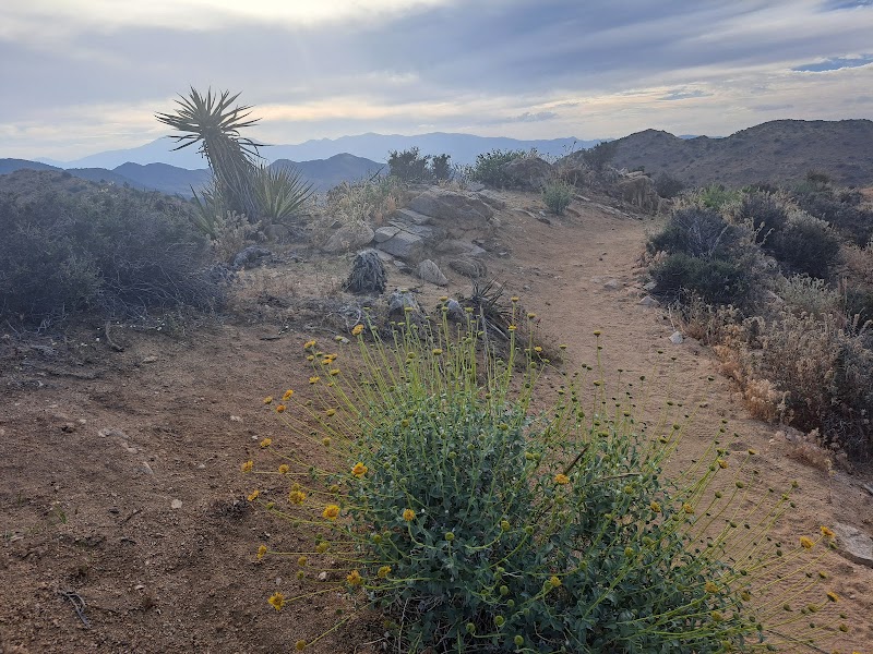 Hiking Adventure at Hi-View Trailhead near Yucca Valley, CA - Hi-View Trailhead