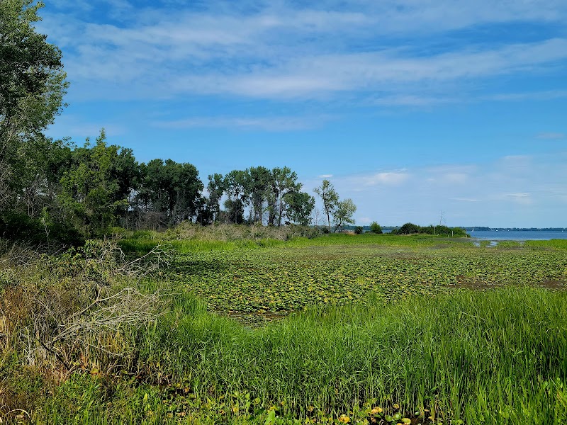 Natural Serenity at Leo's Landing, Erie, PA - Leo's Landing