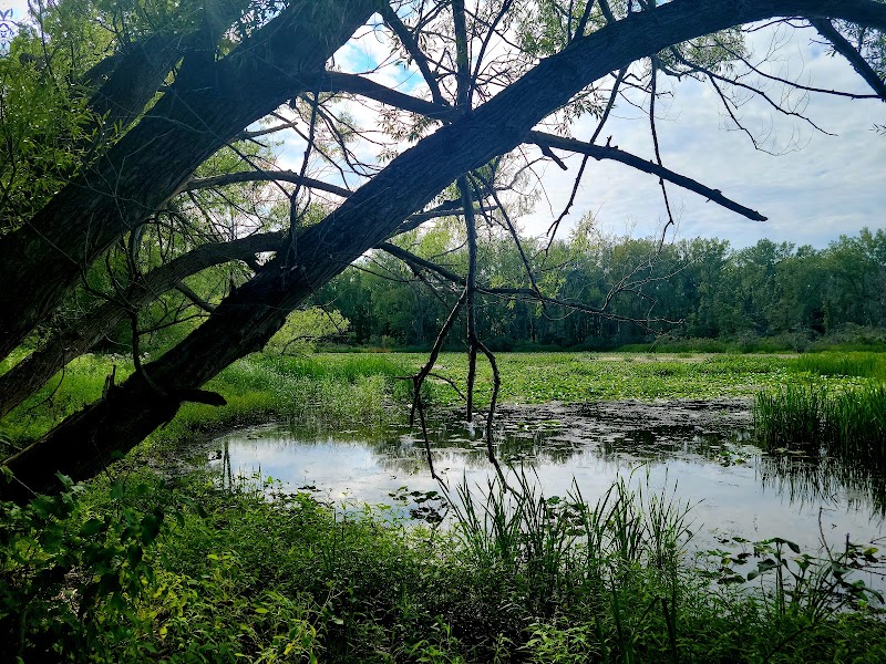 Natural Serenity at Leo's Landing, Erie, PA surrounding landscape