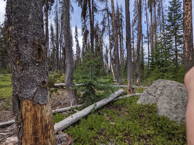 Wilderness Beauty at Sky Lakes Near Klamath Falls outdoor detail