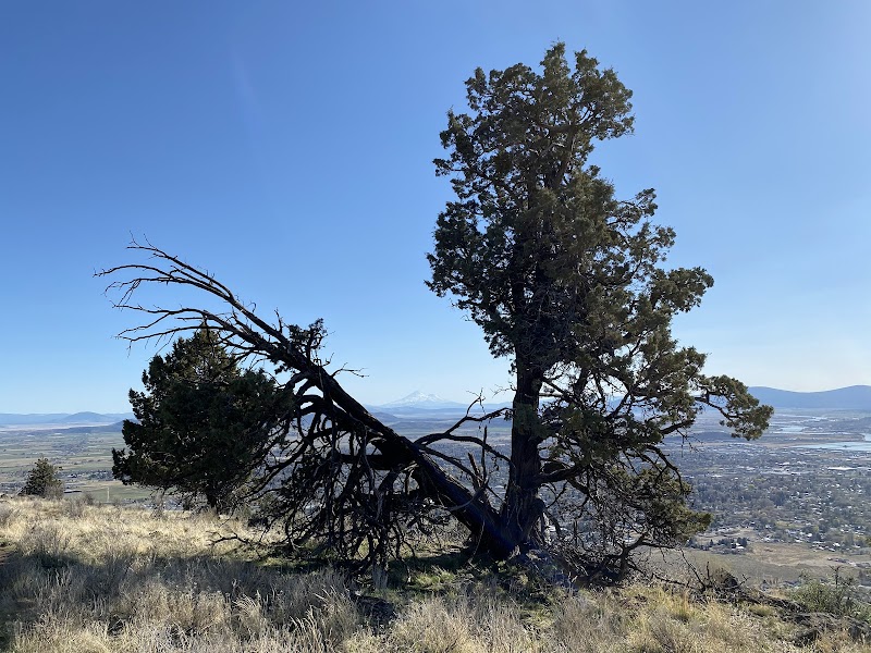 Scenic Hiking at Hogback Mountain near Klamath Falls, Oregon outdoor detail