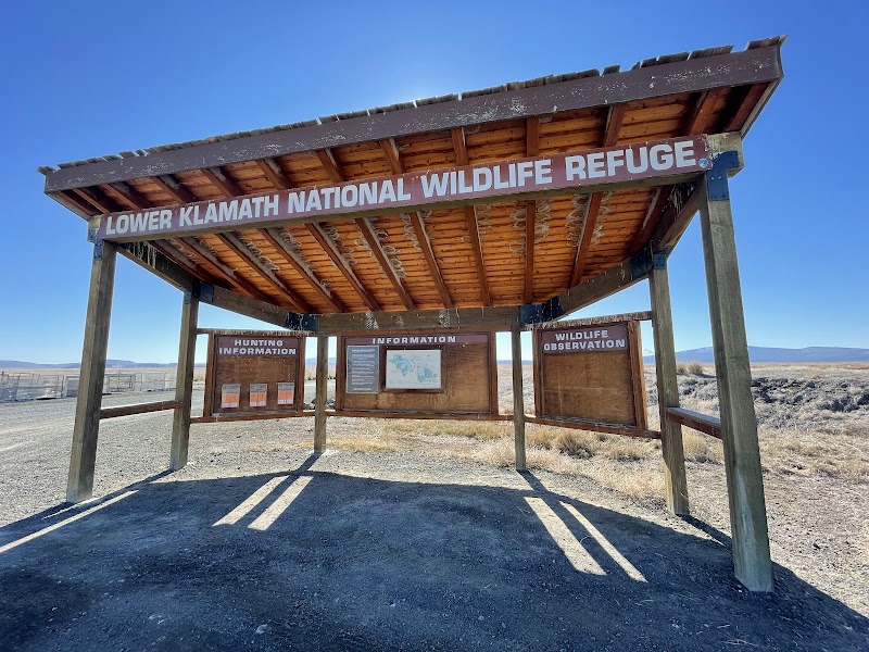 Wildlife Refuge Wonder: Lower Klamath National Wildlife Refuge surrounding landscape