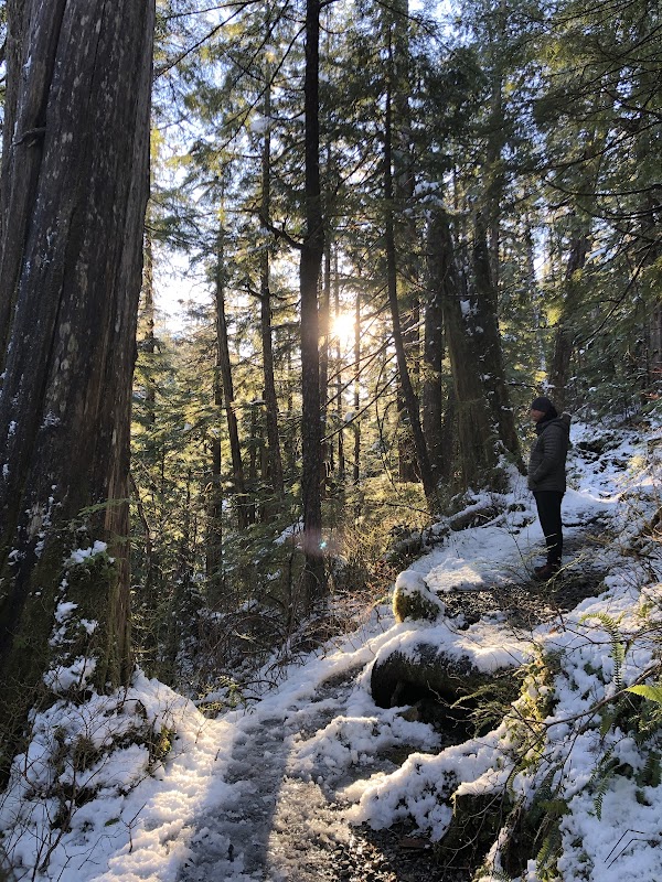 Hiking and Nature at Perseverance Lake Trail, Ketchikan, Alaska - Perseverance Lake Trail