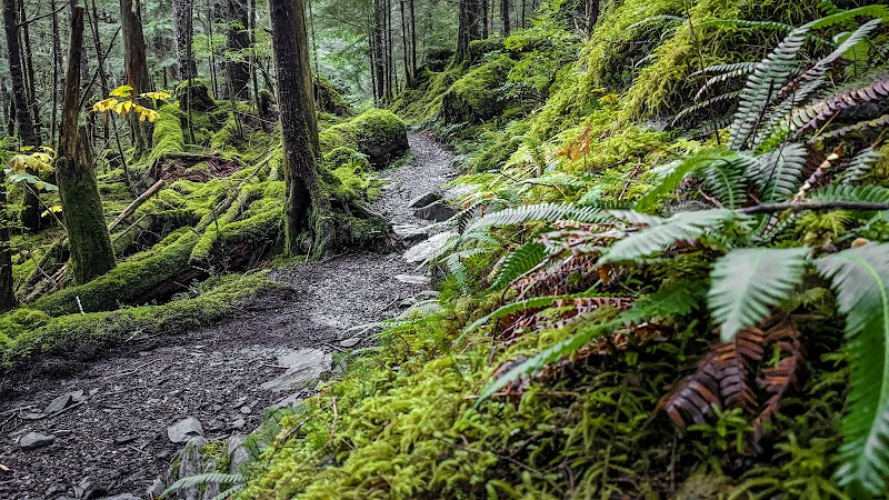 Scenic Hiking at Connell Lake Trail near Ketchikan, Alaska - Connell Lake Trail