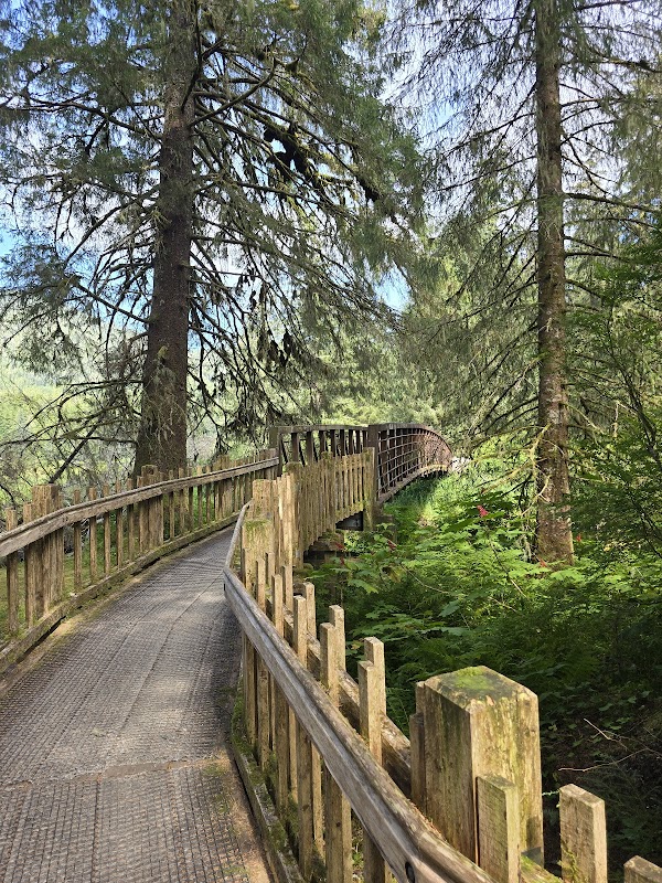 Scenic Hiking at Ward Lake Nature Trailhead, Ketchikan, Alaska - Ward Lake Nature Trailhead