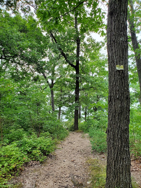 Outdoor Adventure at Rocky Top Trail, Osage Beach, Missouri surrounding landscape