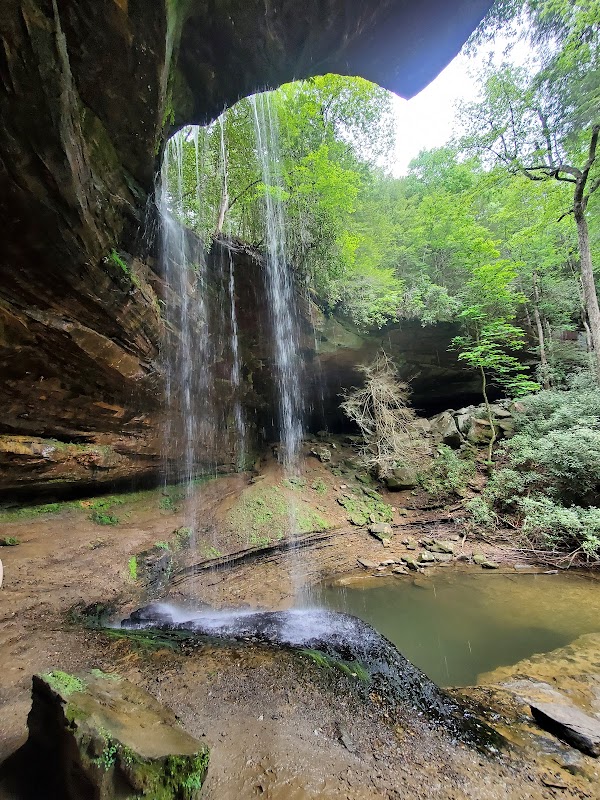 Serene Waterfall Escape at Northrup Falls Road, Tennessee - Northrup Falls Road