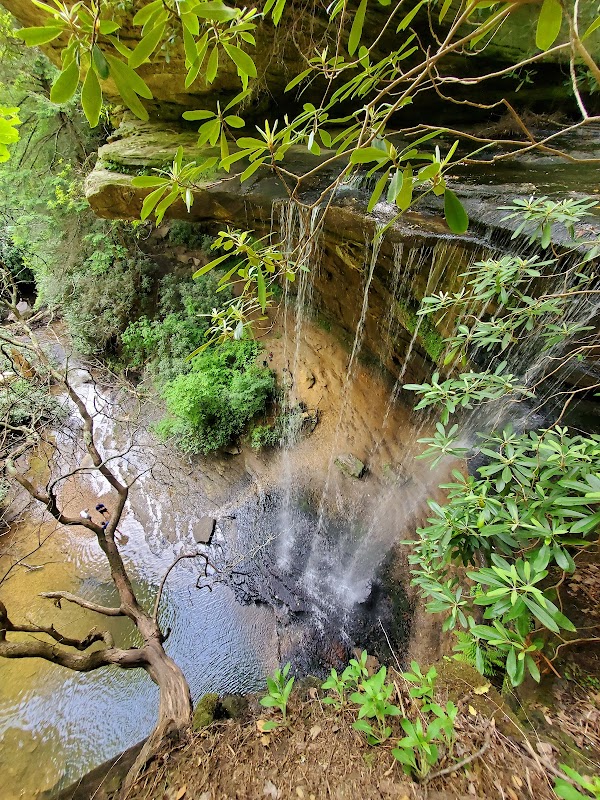 Serene Waterfall Escape at Northrup Falls Road, Tennessee - Northrup Falls Road