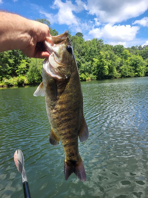 River Adventure & Nature at Ocmulgee River, Georgia - Ocmulgee River