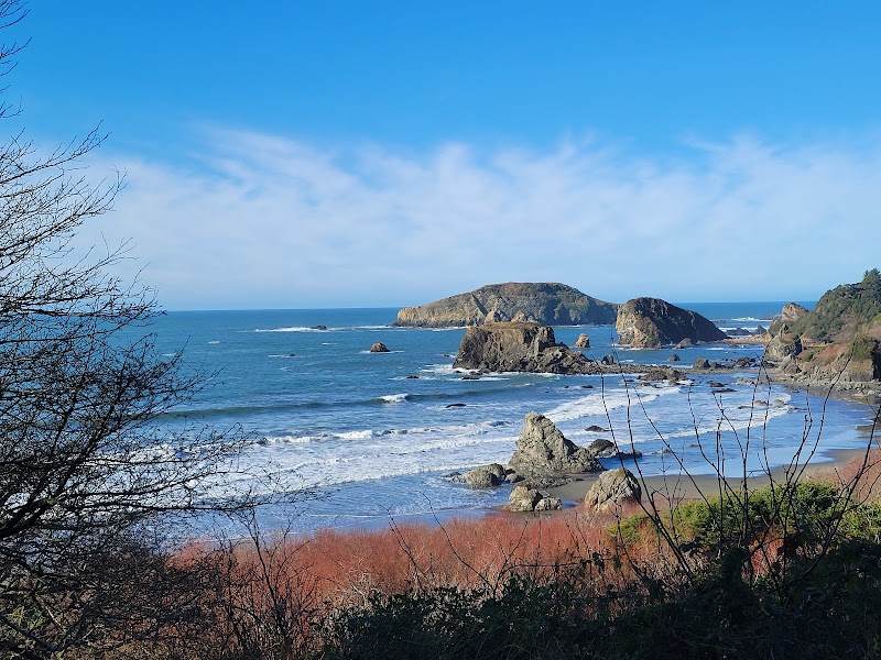 Coastal Camping & Natural Coastal Beauty at Harris Beach State Park Campground - Harris Beach State Park Campground