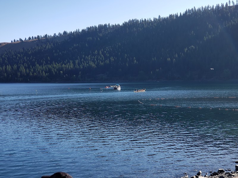 Lakeside Mountain Beauty at Wallowa Lake State Park - Wallowa Lake State Park