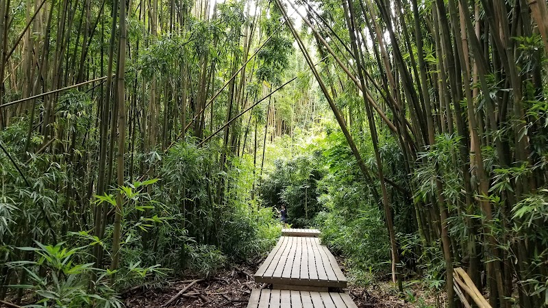 Waterfall Wonder: Waimoku Falls in Hana, Hawaii - Waimoku Falls