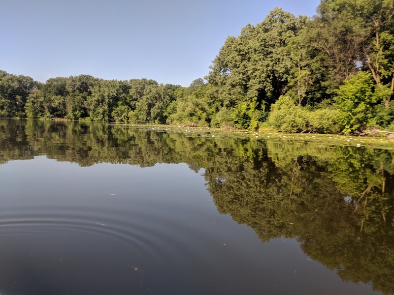 Peaceful Waters and Trails at Cedar Lake, Minneapolis surrounding landscape