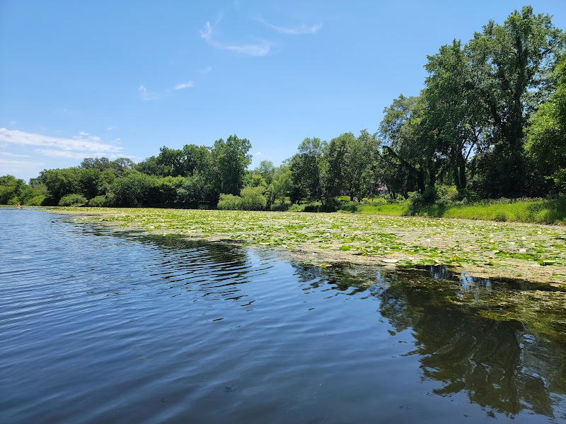 Serene Water Sports & Nature at Lake of the Isles Park, Minneapolis - Lake of the Isles Park