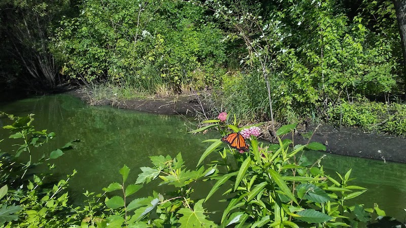 Scenic Serenity at Richfield Lake in Richfield, MN - Richfield Lake