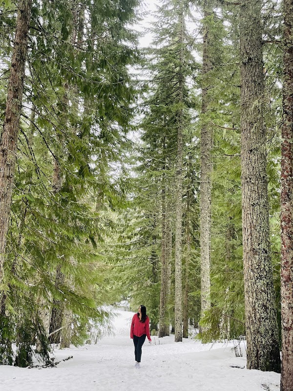 Scenic Trillium Lake Trailhead near Mt. Hood, Oregon - Trillium Lake Trailhead