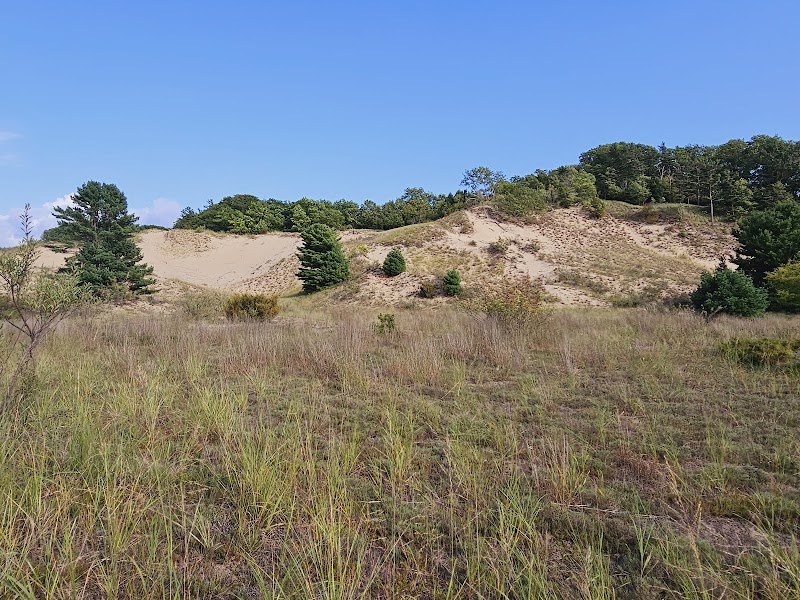Sand Dune Hiking & Lake Views at Rosy Mound Natural Area - Rosy Mound Natural Area