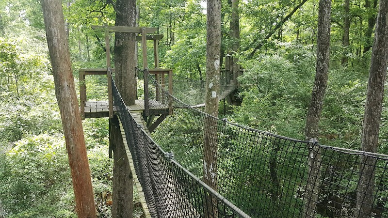 Nature Trails & Serenity at Lynches River County Park - Lynches River County Park