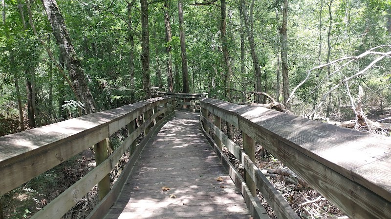 Nature Trails & Serenity at Lynches River County Park - Lynches River County Park