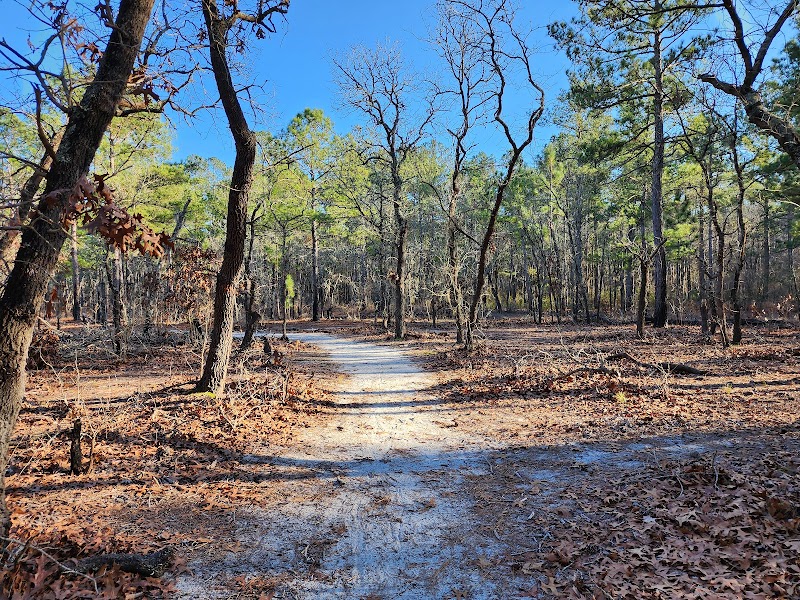 Nature Trails & Serenity at Lynches River County Park - Lynches River County Park
