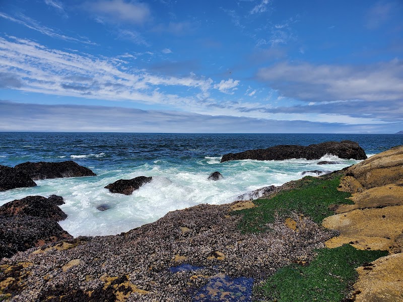 Natural Wonder & Coastal Landmark: Morro Rock Beach - Morro Rock Beach
