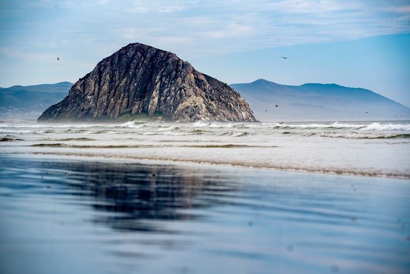 Natural Wonder & Coastal Landmark: Morro Rock Beach - Morro Rock Beach