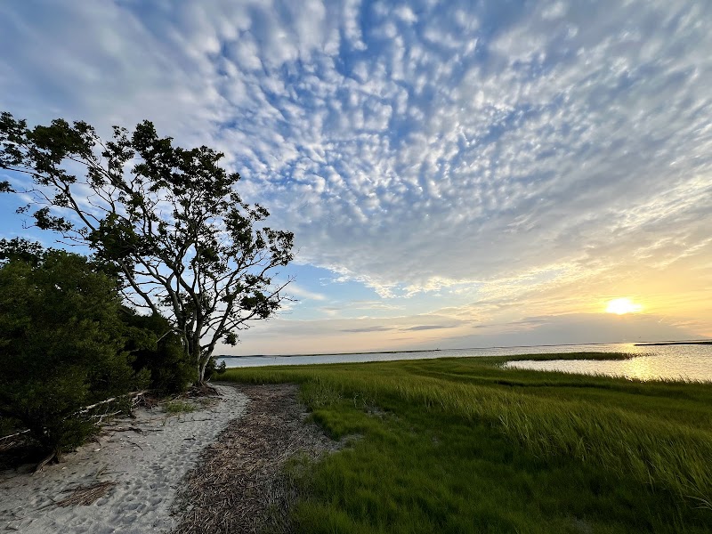 Scenic Coastal Trail at Oyster Village Horse Island near Cape Charles, VA - Oyster Village Horse Island Trail