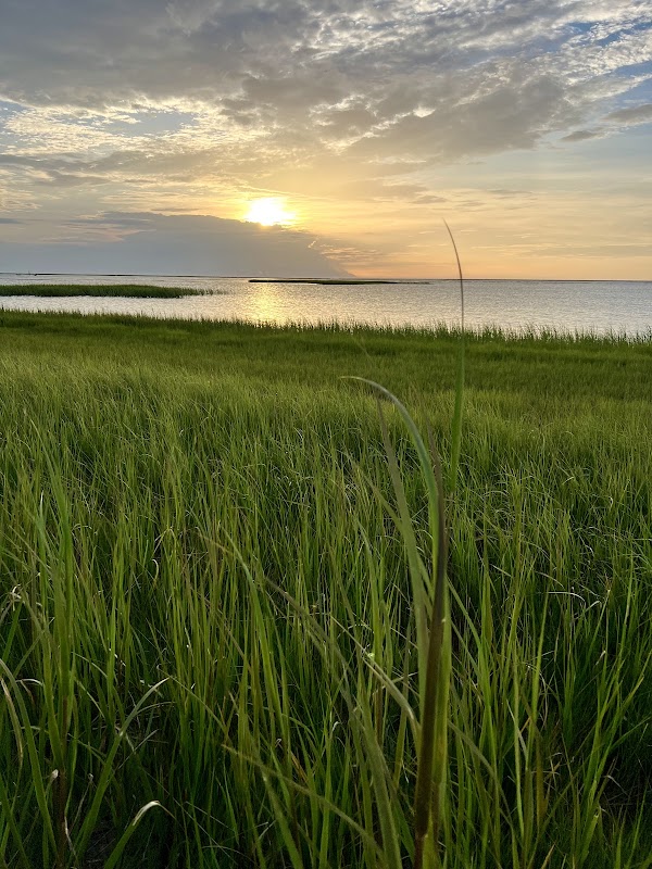 Scenic Coastal Trail at Oyster Village Horse Island near Cape Charles, VA outdoor detail
