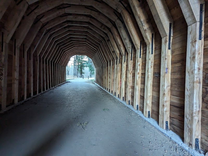 Natural Wonder and Adventure at Oneonta Tunnel, Oregon - Oneonta Tunnel