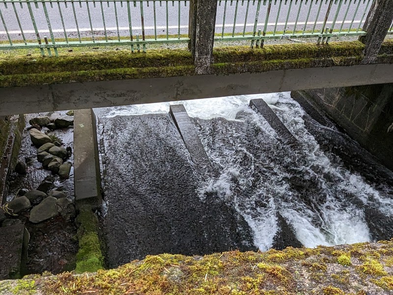 Natural Wonder and Adventure at Oneonta Tunnel, Oregon outdoor detail