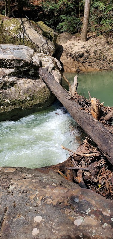 Waterfall & River Retreat at Sipsey River Picnic Area surrounding landscape