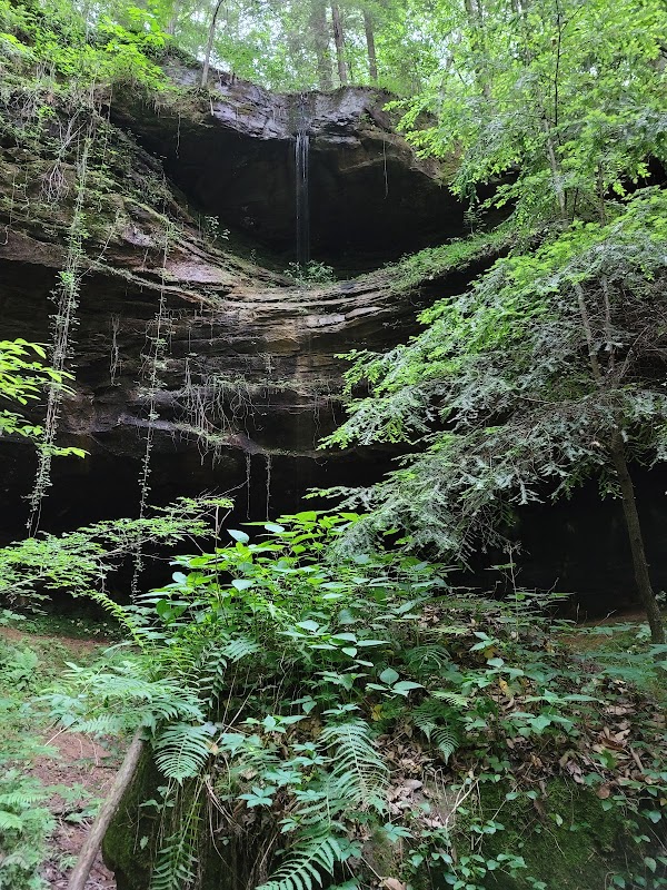 Waterfall & River Retreat at Sipsey River Picnic Area - Sipsey River Picnic Area